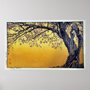 Poster Les fleurs de cerisiers de Yoshida Toshi