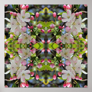 Poster Les fleurs de pomme du début du printemps Abstrait