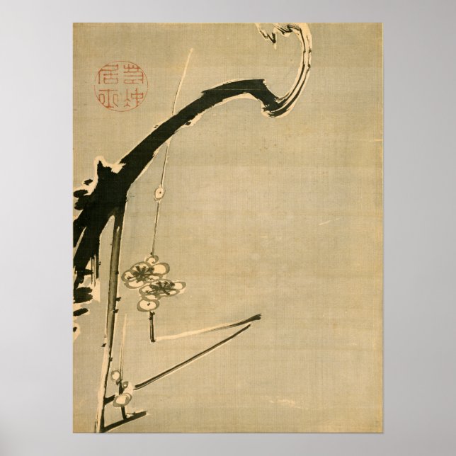 Poster Les fleurs de prunes d'Ito Jakuchu (Devant)