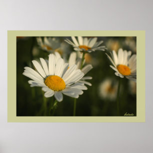 Poster Les fleurs du printemps