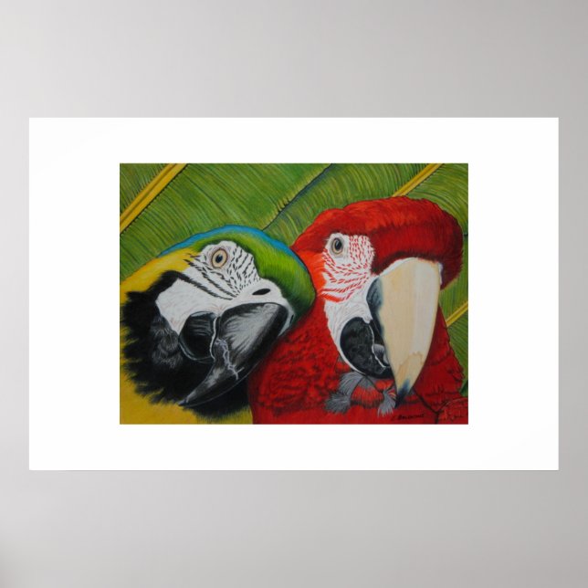 Poster Les garçons (Devant)