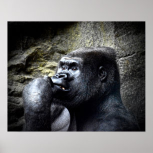 Poster Les gorilles de Silverback Mountain