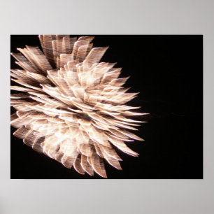 Poster Les gracieuses