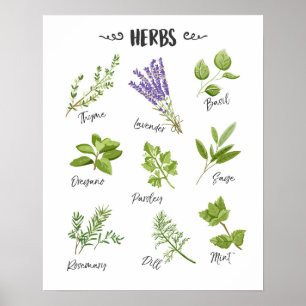 Poster Les herbes impriment le décor de cuisine d'art de