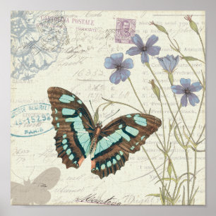 Poster Les histoires de Papillon