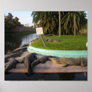 Poster Les intrus Seront Mangés !