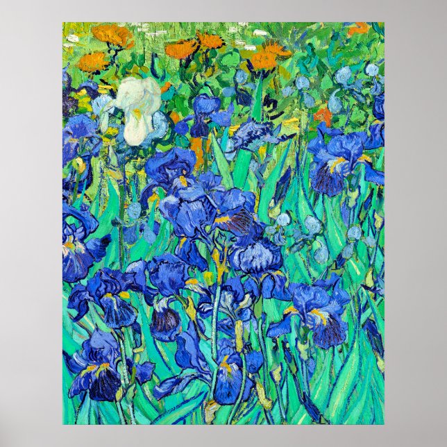 Poster Les Iris de Van Gogh  (Devant)