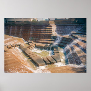 Poster Les jardins aquatiques de Fort Worth