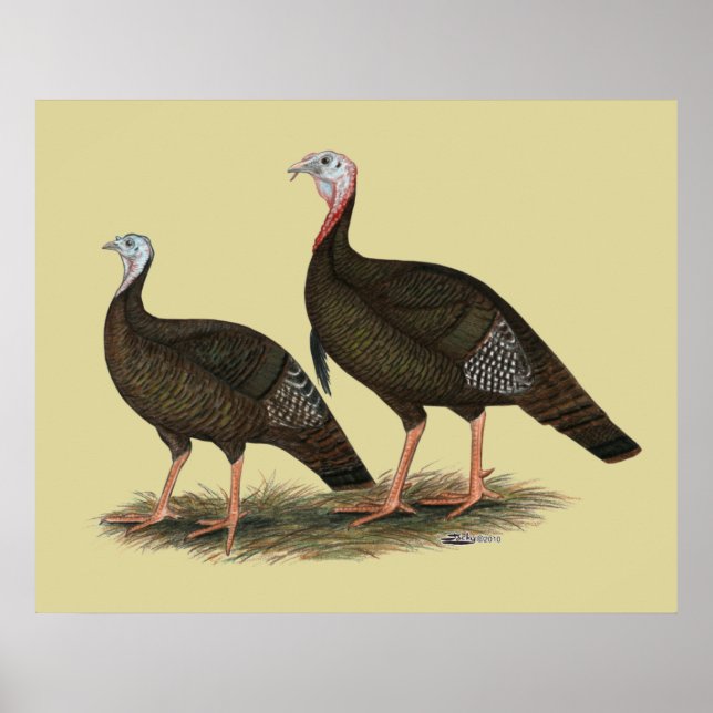 Poster Les Jeunes Filles de Turkeys (Devant)