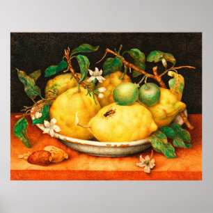 POSTER LES LÉMONS FRUITS DE SAISON ET LES FLEURS BLANCHES