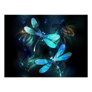 Poster Les libellules du lac