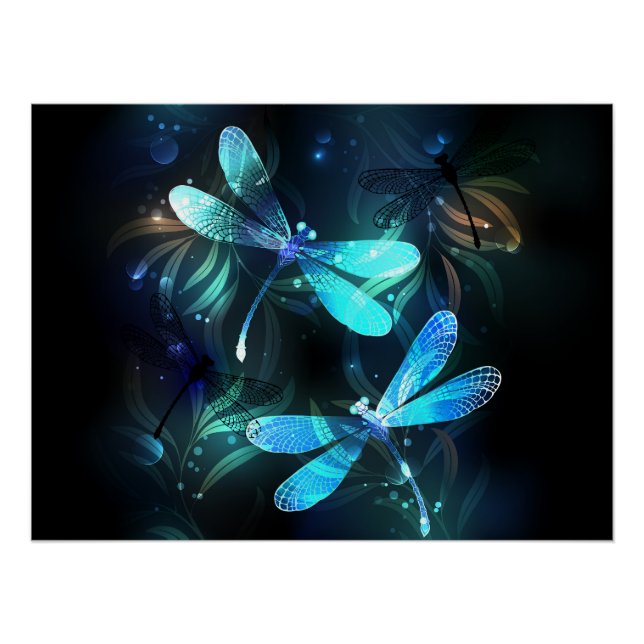 Poster Les libellules du lac (Devant)