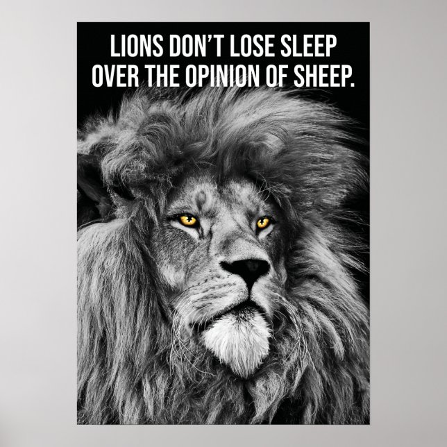 Poster Les lions ne perdent pas leur sommeil sur les opin (Devant)