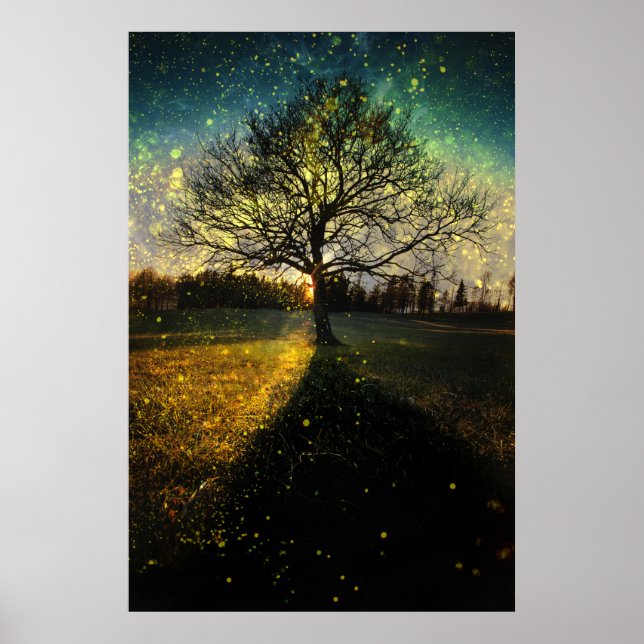 Poster Les lucioles magiques paysage onirique (Devant)