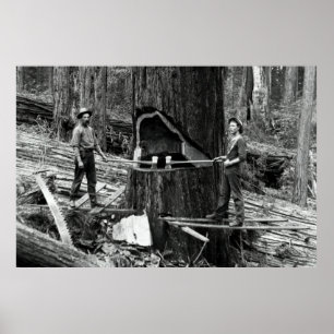 Poster LES LUMBERJACKS DE FORÊT PROFONDE c. 1890