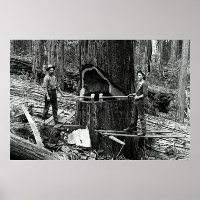Poster LES LUMBERJACKS DE FORÊT PROFONDE c. 1890 (Devant)