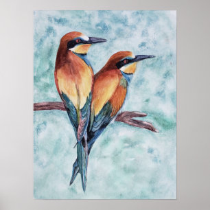 Poster Les magnifiques oiseaux tropicaux