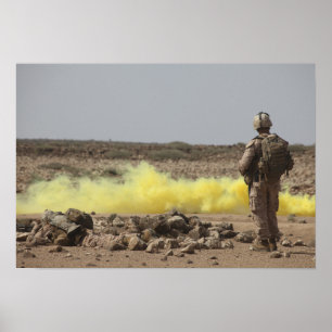 Poster Les marines assurent la sécurité