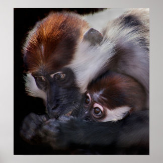 Poster Les mères adorent