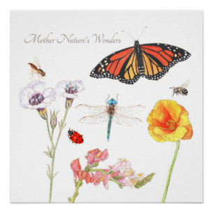 Poster Les merveilles de Mère Nature
