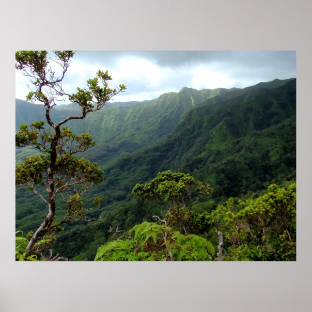 Poster Les montagnes Hawaïennes de Koolau (Devant)