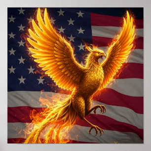 Poster Les montées de Phoenix