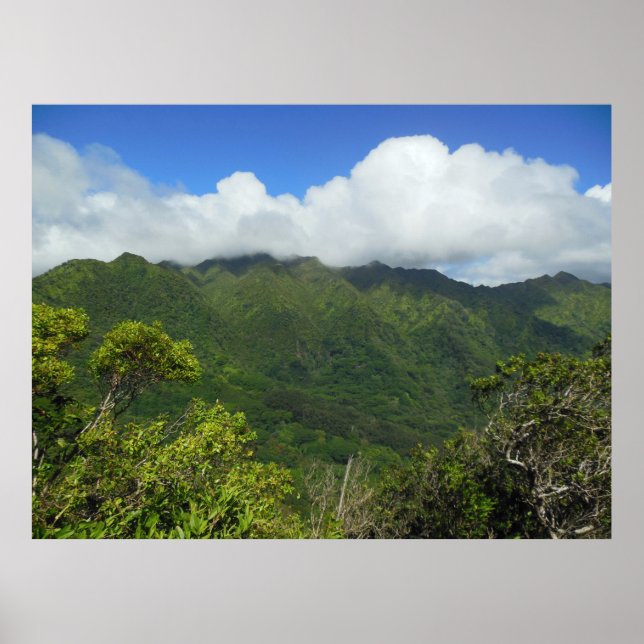 Poster Les monts Koolau (Devant)