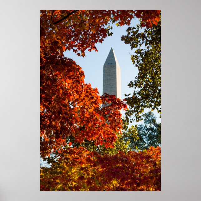 Poster Les monuments | Washington Monument en automne (Devant)
