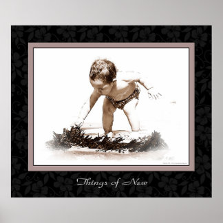 Poster Les nouvelles choses