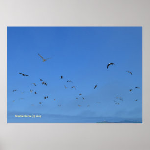 Poster Les oiseaux de plage
