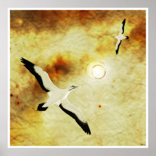 Poster Les oiseaux du soleil