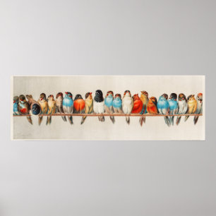 Poster Les oiseaux mignons