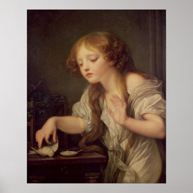 Poster Les oiseaux morts (Devant)