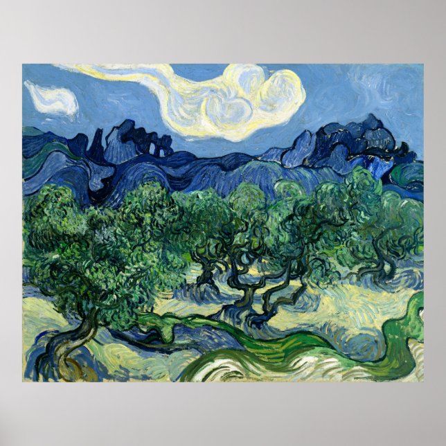 Poster Les oliviers de Van Gogh avec les Alpilles (Devant)