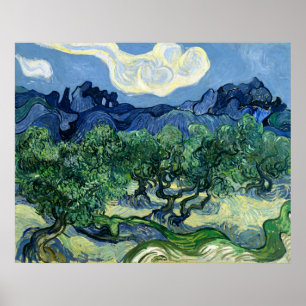 Poster Les oliviers de Vincent van Gogh 