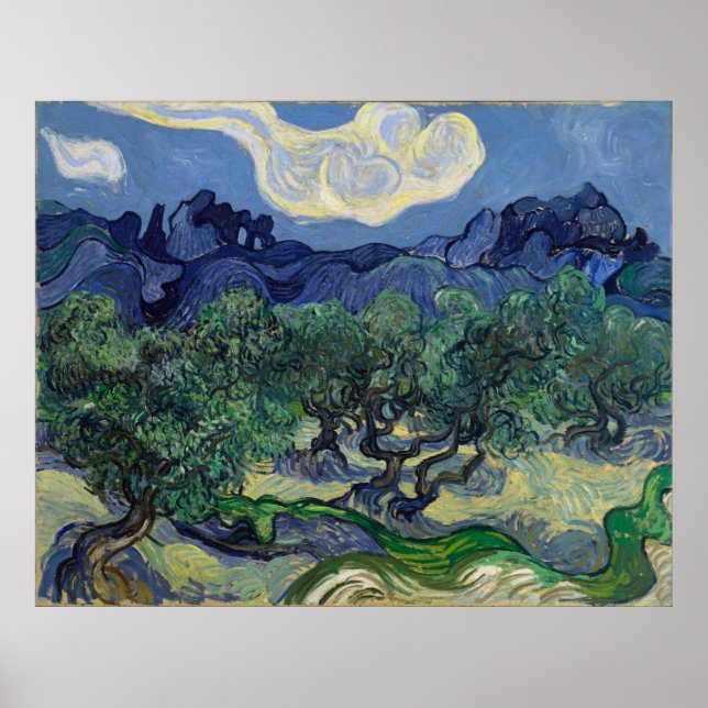Poster Les oliviers de Vincent Van Gogh (Devant)