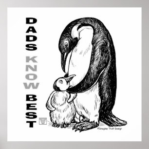 Poster Les papas connaissent mieux
