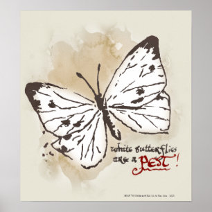 Poster Les papillons blancs sont un animal nuisible
