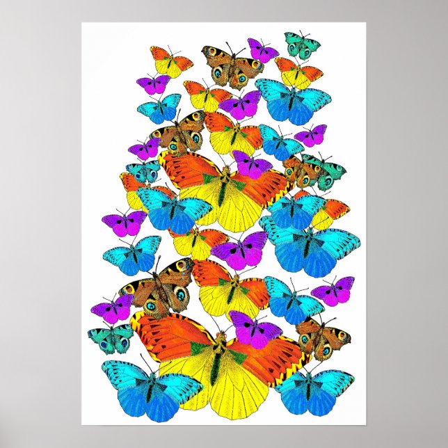 Poster Les papillons ! Les papillons ! (Devant)