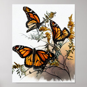 Poster Les papillons Monarques de beauté de la nature