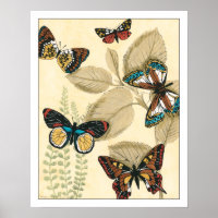 Les papillons qui dorment sur les Feuilles