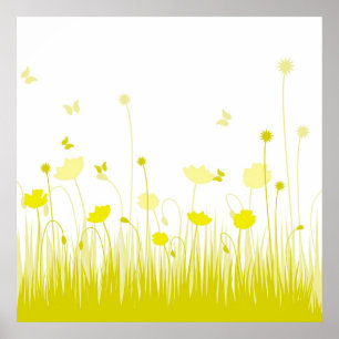 Poster Les pavots jaunes et blancs minimalistes prègnent 