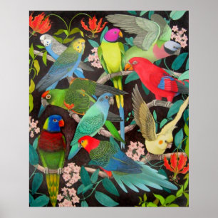 Poster Les perroquets du monde II