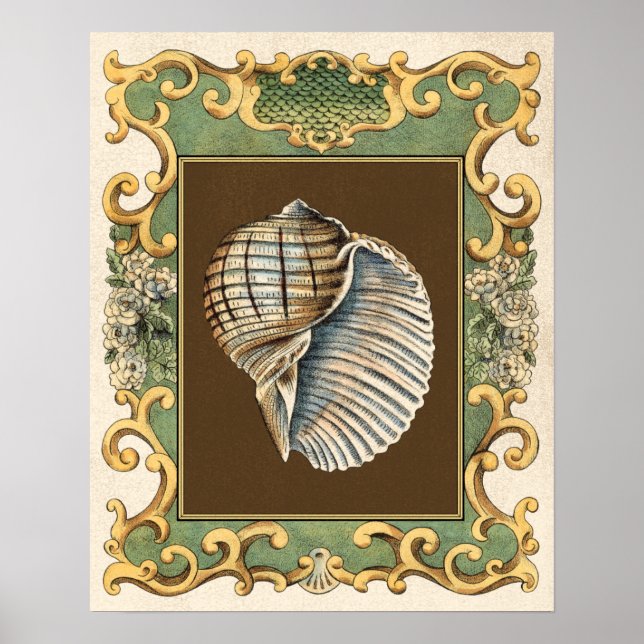 Poster Les petites coquilles de sirène (Devant)
