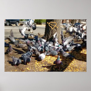 Poster Les pigeons se rassemblent autour de l'arbre avec
