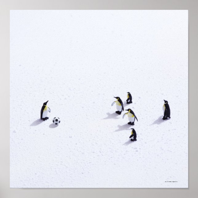 Poster Les pingouins jouant au football (Devant)