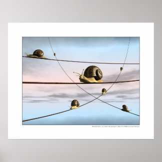 Poster Les pistes d'escargot