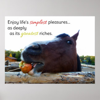 Poster Les plaisirs simples de la vie...