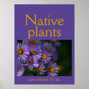 Poster Les plantes indigènes sont où il faut être