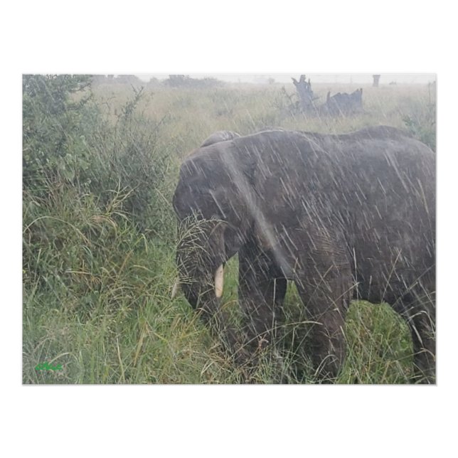 Poster Les pluies en Afrique (Devant)